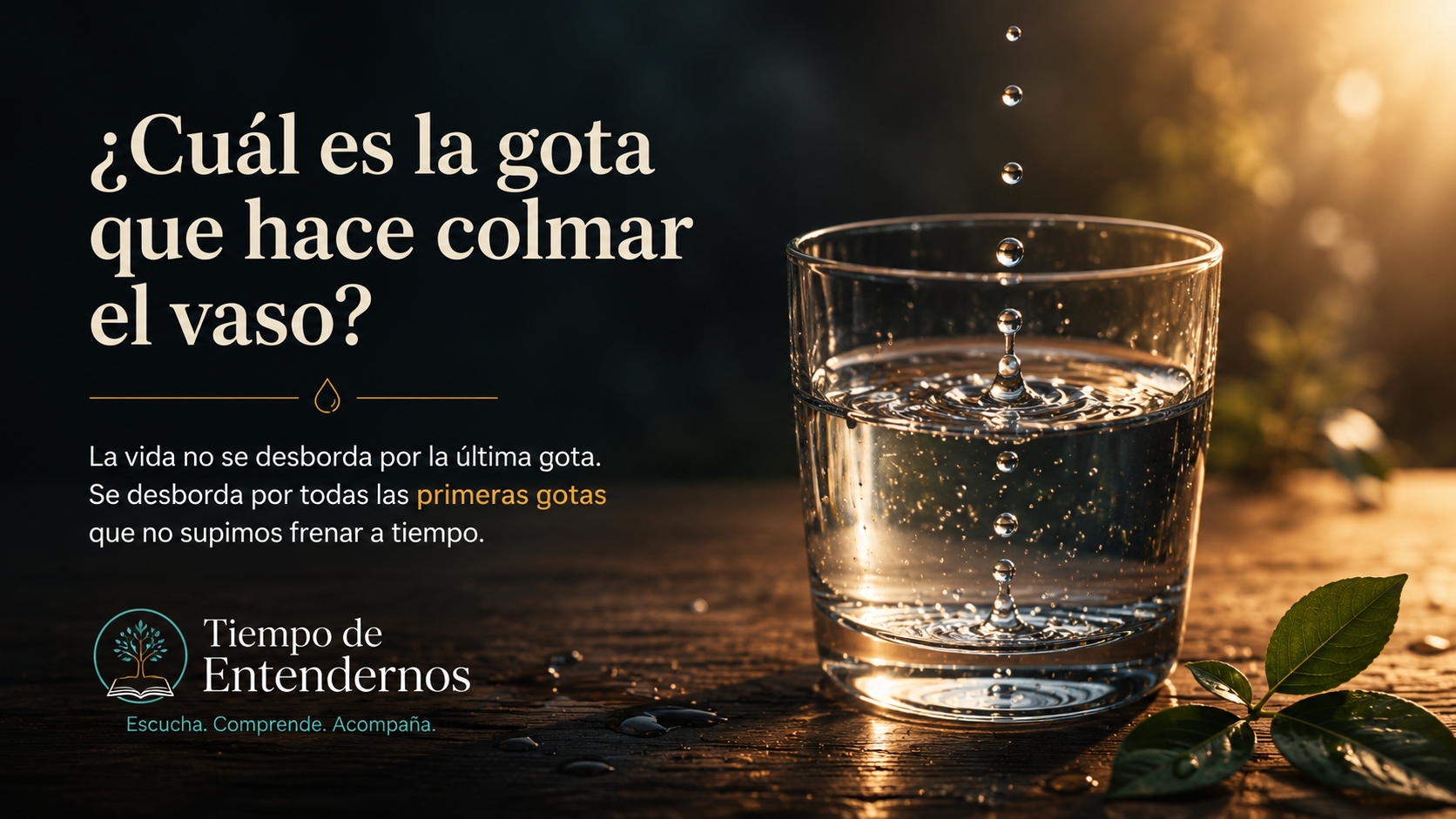 ¿Cuál es la gota que hace colmar el vaso?